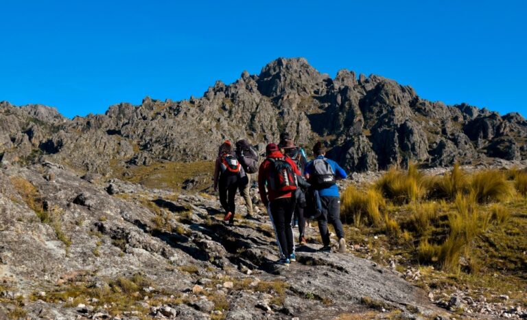 Braga Polar Anticorte SHOKE – Para Seguridad, Policía Y Actividades Outdoor, Protección Térmica Y Anticorte, Color Negro